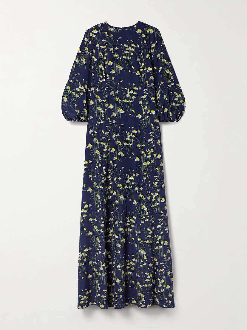 BERNADETTE Roxette Floral-print Silk Crepe De Chine Gown